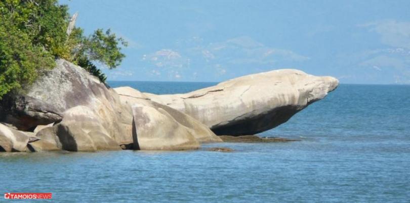 Apto Lindo E Aconchegante Com Piscina 202A Caraguatatuba Luaran gambar